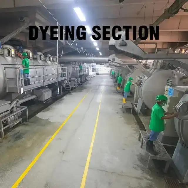 Dyeing Section