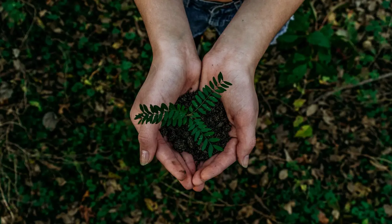Sustainable Materials